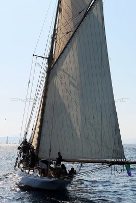 1540 Voiles de Saint-Tropez 2011 - MK3_5962_DxO format WEB.jpg