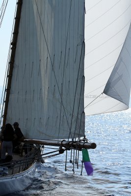 1565 Voiles de Saint-Tropez 2011 - IMG_3323_DxO format WEB.jpg