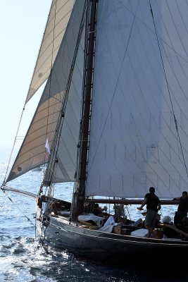 1586 Voiles de Saint-Tropez 2011 - IMG_3333_DxO format WEB.jpg