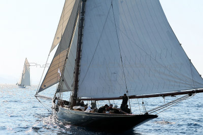 1588 Voiles de Saint-Tropez 2011 - MK3_5991_DxO format WEB.jpg