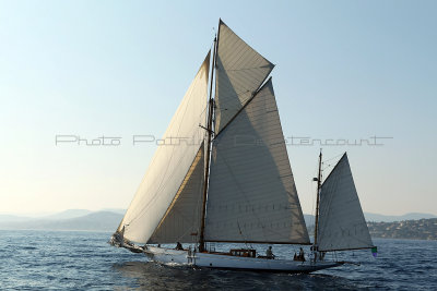 1605 Voiles de Saint-Tropez 2011 - MK3_6006_DxO format WEB.jpg