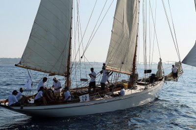 1636 Voiles de Saint-Tropez 2011 - MK3_6015_DxO format WEB.jpg