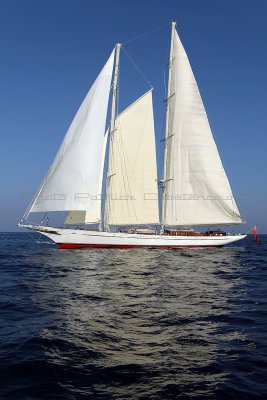 1663 Voiles de Saint-Tropez 2011 - MK3_6032_DxO format WEB.jpg