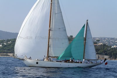 1686 Voiles de Saint-Tropez 2011 - IMG_3383_DxO format WEB.jpg