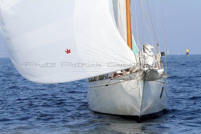 1722 Voiles de Saint-Tropez 2011 - IMG_3393_DxO format WEB.jpg