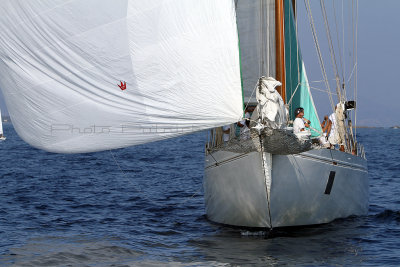 1724 Voiles de Saint-Tropez 2011 - IMG_3395_DxO format WEB.jpg