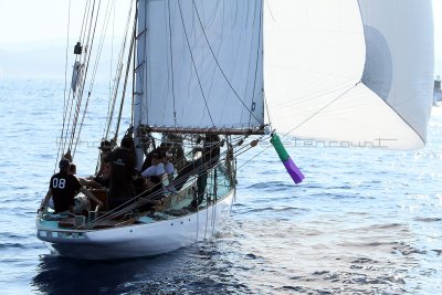 1738 Voiles de Saint-Tropez 2011 - IMG_3409_DxO format WEB.jpg