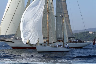 1766 Voiles de Saint-Tropez 2011 - IMG_3425_DxO format WEB.jpg