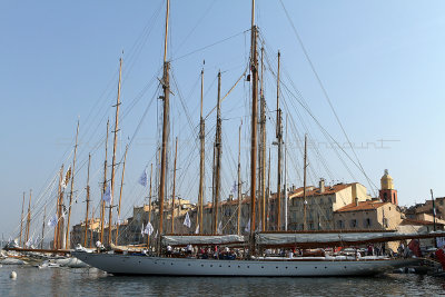 2124 Voiles de Saint-Tropez 2011 - IMG_3669_DxO format WEB.jpg