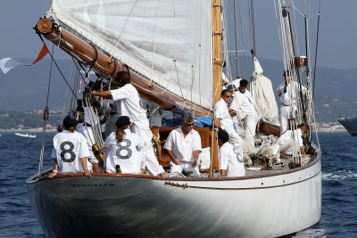 2199 Voiles de Saint-Tropez 2011 - IMG_3721_DxO format WEB.jpg