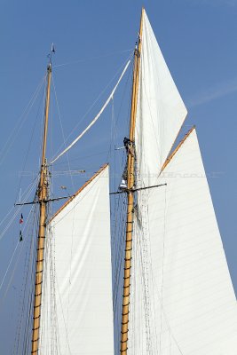 2229 Voiles de Saint-Tropez 2011 - IMG_3744_DxO format WEB.jpg