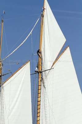 2230 Voiles de Saint-Tropez 2011 - IMG_3745_DxO format WEB.jpg