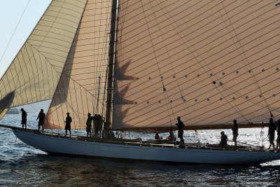 1794 Voiles de Saint-Tropez 2011 - MK3_6095_DxO format WEB.jpg