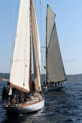 1801 Voiles de Saint-Tropez 2011 - MK3_6102_DxO format WEB.jpg