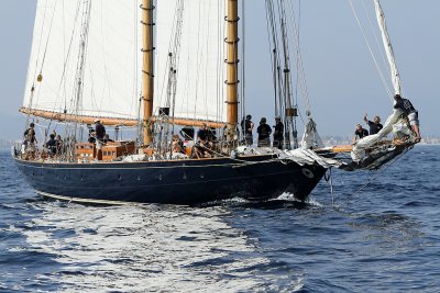 2279 Voiles de Saint-Tropez 2011 - IMG_3790_DxO format WEB.jpg