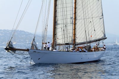 2286 Voiles de Saint-Tropez 2011 - IMG_3797_DxO format WEB.jpg