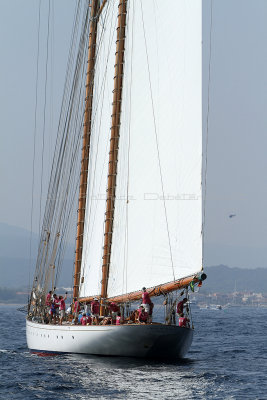 2292 Voiles de Saint-Tropez 2011 - IMG_3803_DxO format WEB.jpg