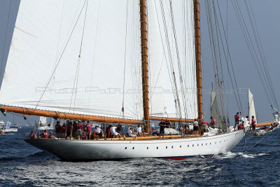 2331 Voiles de Saint-Tropez 2011 - IMG_3831_DxO format WEB.jpg