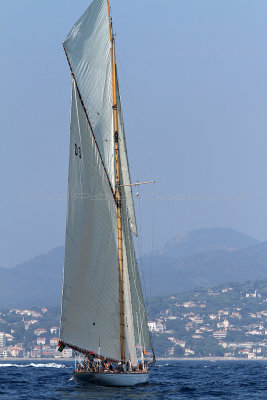 2455 Voiles de Saint-Tropez 2011 - IMG_3901_DxO format WEB.jpg