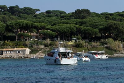 2462 Voiles de Saint-Tropez 2011 - IMG_3908_DxO format WEB.jpg