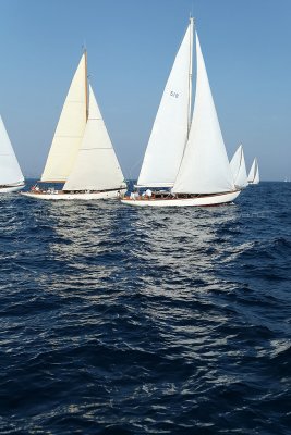 2654 Voiles de Saint-Tropez 2011 - MK3_6309_DxO format WEB.jpg