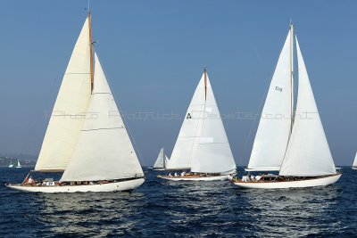 2664 Voiles de Saint-Tropez 2011 - MK3_6319_DxO format WEB.jpg