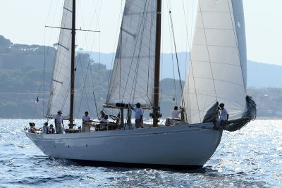 2752 Voiles de Saint-Tropez 2011 - IMG_4160_DxO format WEB.jpg