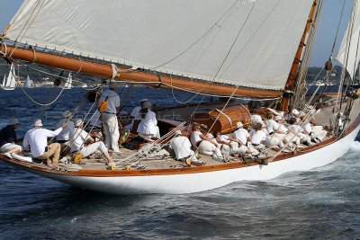 2872 Voiles de Saint-Tropez 2011 - IMG_4252_DxO format WEB.jpg