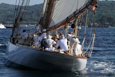 2895 Voiles de Saint-Tropez 2011 - IMG_4269_DxO format WEB.jpg