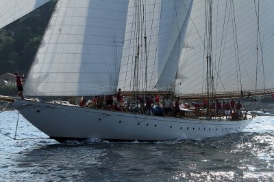 2902 Voiles de Saint-Tropez 2011 - IMG_4274_DxO format WEB.jpg