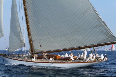 2973 Voiles de Saint-Tropez 2011 - IMG_4326_DxO format WEB.jpg