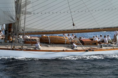 2982 Voiles de Saint-Tropez 2011 - IMG_4335_DxO format WEB.jpg