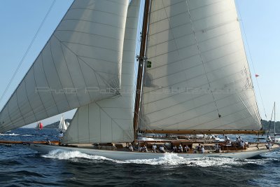 2994 Voiles de Saint-Tropez 2011 - MK3_6393_DxO format WEB.jpg