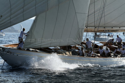 3027 Voiles de Saint-Tropez 2011 - IMG_4366_DxO format WEB.jpg