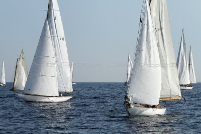 3083 Voiles de Saint-Tropez 2011 - IMG_4416_DxO format WEB.jpg