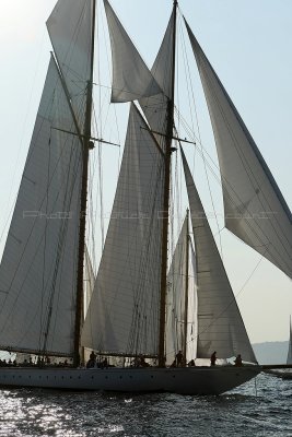 3181 Voiles de Saint-Tropez 2011 - MK3_6441_DxO format WEB.jpg