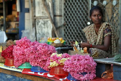 317 - South India 2 weeks trip - 2 semaines en Inde du sud - IMG_8546_DxO WEB.jpg