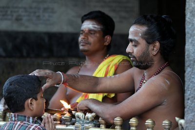 339 - South India 2 weeks trip - 2 semaines en Inde du sud - IMG_8568_DxO WEB.jpg