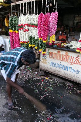 352 - South India 2 weeks trip - 2 semaines en Inde du sud - IMG_8581_DxO WEB.jpg