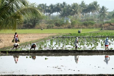 2043 - South India 2 weeks trip - 2 semaines en Inde du sud - IMG_0313_DxO WEB.jpg