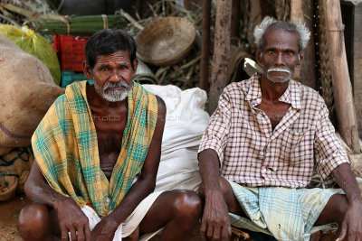 2134 - South India 2 weeks trip - 2 semaines en Inde du sud - IMG_0408_DxO WEB.jpg