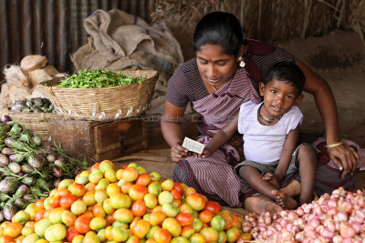 2138 - South India 2 weeks trip - 2 semaines en Inde du sud - IMG_0412_DxO WEB.jpg