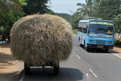 2180 - South India 2 weeks trip - 2 semaines en Inde du sud - IMG_0454_DxO WEB.jpg