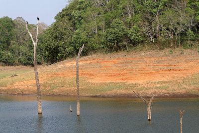 2369 - South India 2 weeks trip - 2 semaines en Inde du sud - IMG_0651_DxO WEB.jpg