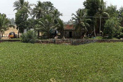 2744 - South India 2 weeks trip - 2 semaines en Inde du sud - IMG_1036_DxO WEB.jpg