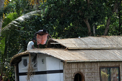 2866 - South India 2 weeks trip - 2 semaines en Inde du sud - IMG_1165_DxO WEB.jpg