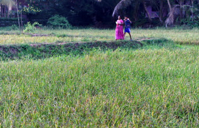 3060 - South India 2 weeks trip - 2 semaines en Inde du sud - IMG_1370_DxO WEB.jpg