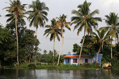 South India 2 weeks trip  From Chittirakayal to Aleppey in our Rice House Boat and trip to Cochin