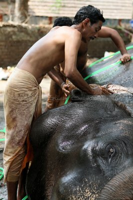 3413 - South India 2 weeks trip - 2 semaines en Inde du sud - IMG_1745_DxO WEB.jpg