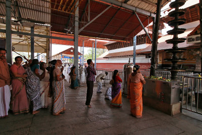 3453 - South India 2 weeks trip - 2 semaines en Inde du sud - IMG_1786_DxO WEB.jpg